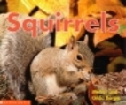 Squirrels (Time-to-Discover) by Melvin…