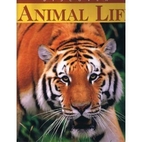 Discover Animal Life by Lynne Hardie…