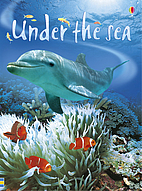 Usborne Beginners: Under the Sea by Fiona…