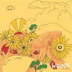 At Echo Lake by Woods