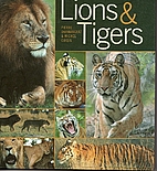Lions and Tigers by Pierre Darmangeat