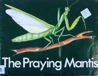 The Praying Mantis (Real or Make-Believe?)…