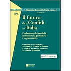 Il futuro dei confidi in Italia: evoluzione…