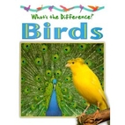 Birds by Stephen Savage