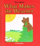 What Makes The Weather by Janet Craig