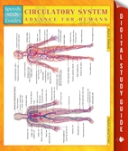 Circulatory System Advanced For Humans…