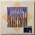 Shake Em On Down - Live in NY by Mississippi…