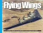 Flying Wings by David Doyle