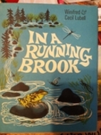 In a running brook by Winifred Lubell
