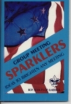 Group Meeting Sparklers by Boy Scouts of…