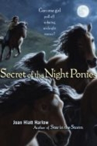Secret of the Night Ponies by Joan Hiatt…