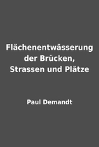 Flächenentwässerung der Brücken, Strassen…