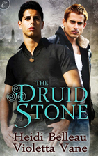 The Druid Stone by Heidi Belleau
