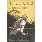 Rufous Redtail; by Helen Garrett