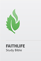 Faithlife Study Bible Infographics by Elliot…