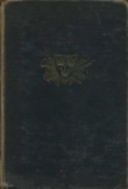 The Black Rose by Thomas B. Costain