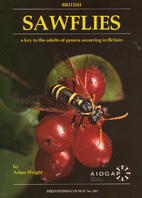 British Sawflies: a key to adults of genera…