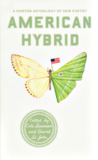 American Hybrid: A Norton Anthology of New…