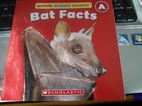Bat Facts by Lydia Carlin