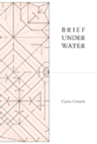 Brief Under Water by Cyrus Console