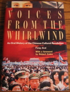 Voices from the Whirlwind by Feng Jicai
