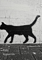 The Things You Left by Raki Kopernik