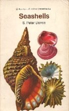 Seashells by S. Peter Dance