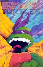 Teenage Mutant Ninja Turtles 22 by Mark…