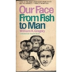 Our face from fish to man: a portrait…