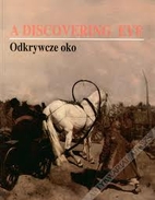 A Discovering eye: Polish painting in the…