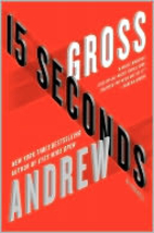 15 Seconds by Andrew Gross