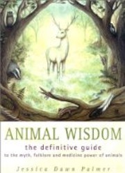 Animal Wisdom by Jessica Dawn Palmer
