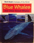 Blue Whales And Other Baleen Whales (World…