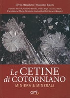 Le Cetine di Cotorniano: miniera e minerali…