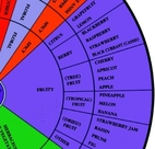 The wine aroma wheel by Ann C. Noble
