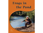 Frogs in the Pond * by Julie Haydon
