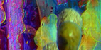 Johannes Deutsch, Symbiose zwischen Film…