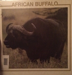 African Buffalo (African Animal Discovery…