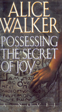 Possessing the Secret of Joy by Alice Walker