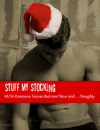 Stuff My Stocking: M/M Romance Stories that…