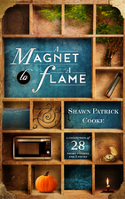 A Magnet to a Flame by Shawn Patrick Cooke