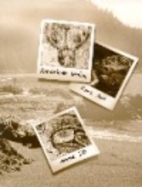 American Indian Rock Art Volume 28 by Alanah…