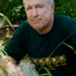Author photo of Douglas W. Tallamy