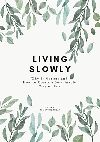 Living Slowly: Why It Matters and How to Cultivate a More Sustainable Way of Life