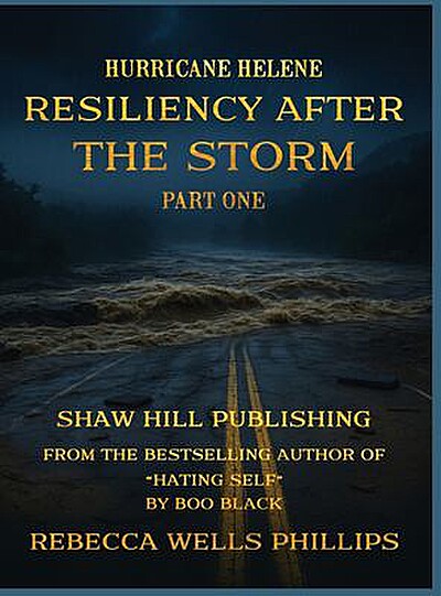 Hurricane Helene: Resiliency After the Storm, Part One