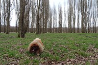 Fotografia 10398434