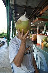 Picture 20791