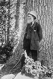 Forfatter foto. George Grantham Bain Collection,<br> LoC Prints and Photographs Division <br>(LC-DIG-ggbain-06861)