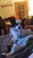 Picture 15029130