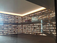 Fotografia 10302681